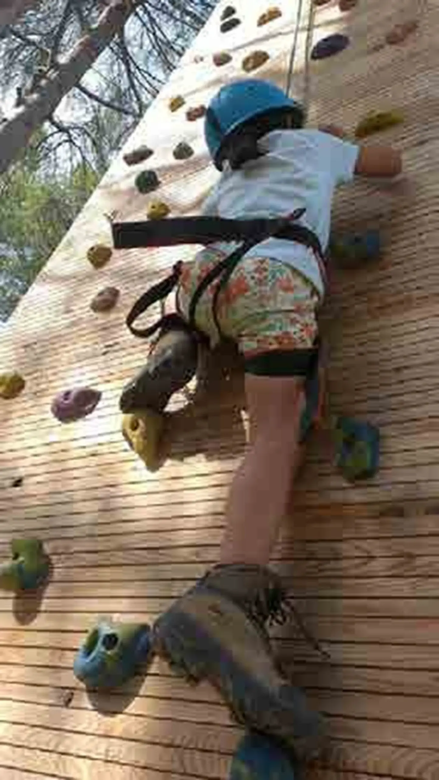 Escolares escalando en rocódromo con casco y arnés